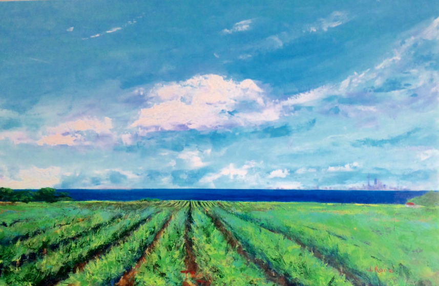 Vineyard by Julia Kane
